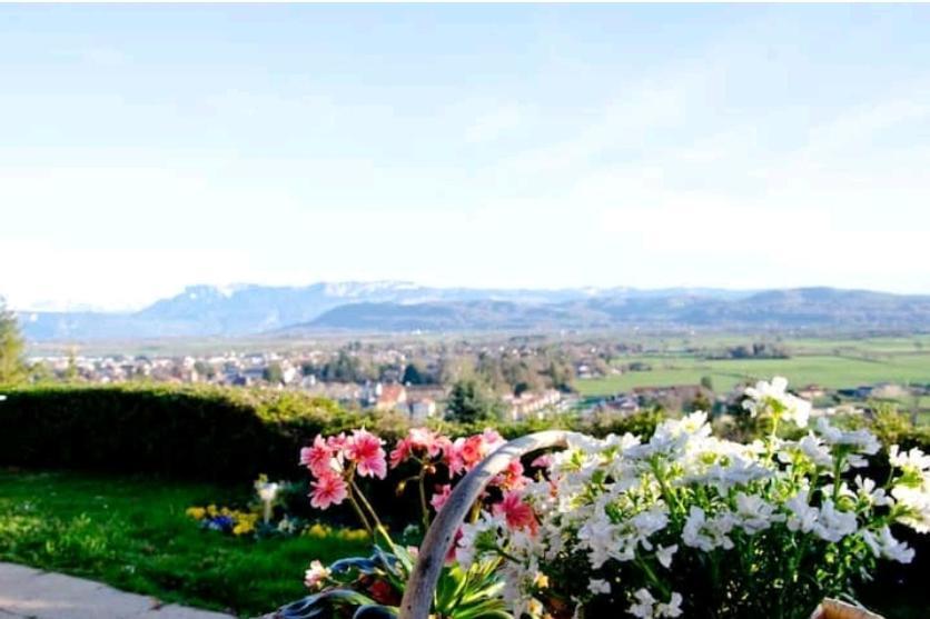 La Villa Jo Le Grand-Lemps Exteriör bild